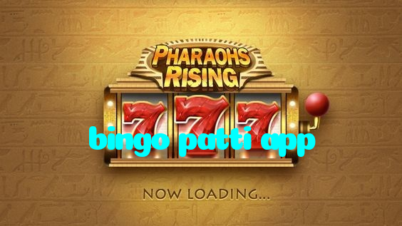 bingo patti app
